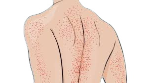 download removebg preview (25)